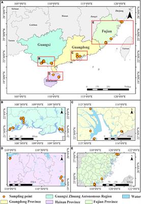 Distribution of black carbon in sediments from mangrove wetlands in China